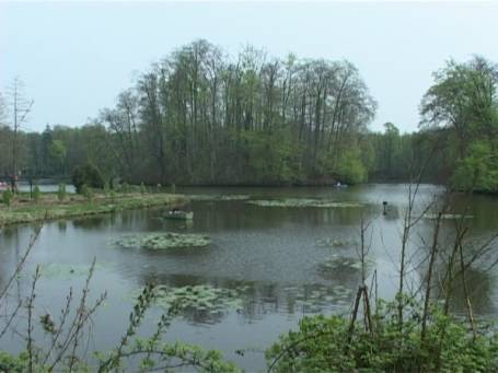 Tüschenbroich : Tüschenbroicher Weiher mit Motte im Hintergrund